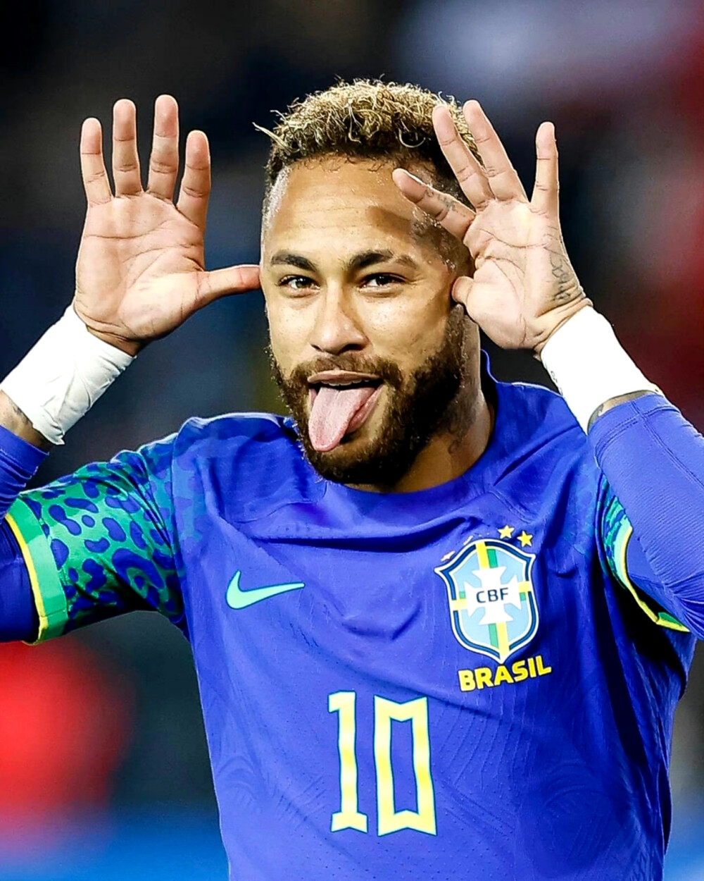 篮为何能够 篮为何能够